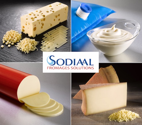 expertise industrielle sodiaal fromages ingrédients