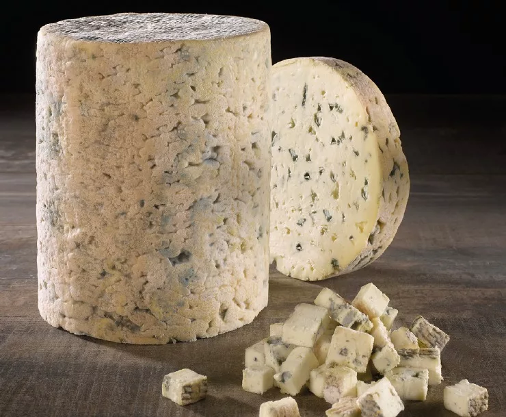 fromage aop fourme d'ambert