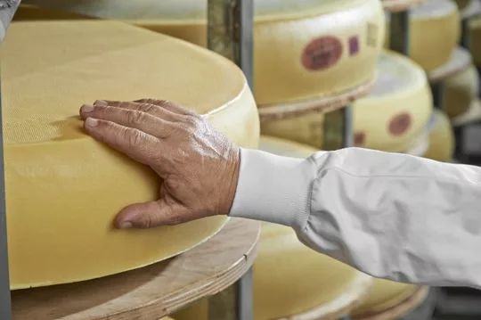 540 large la transparence au coeur de notre alimentation