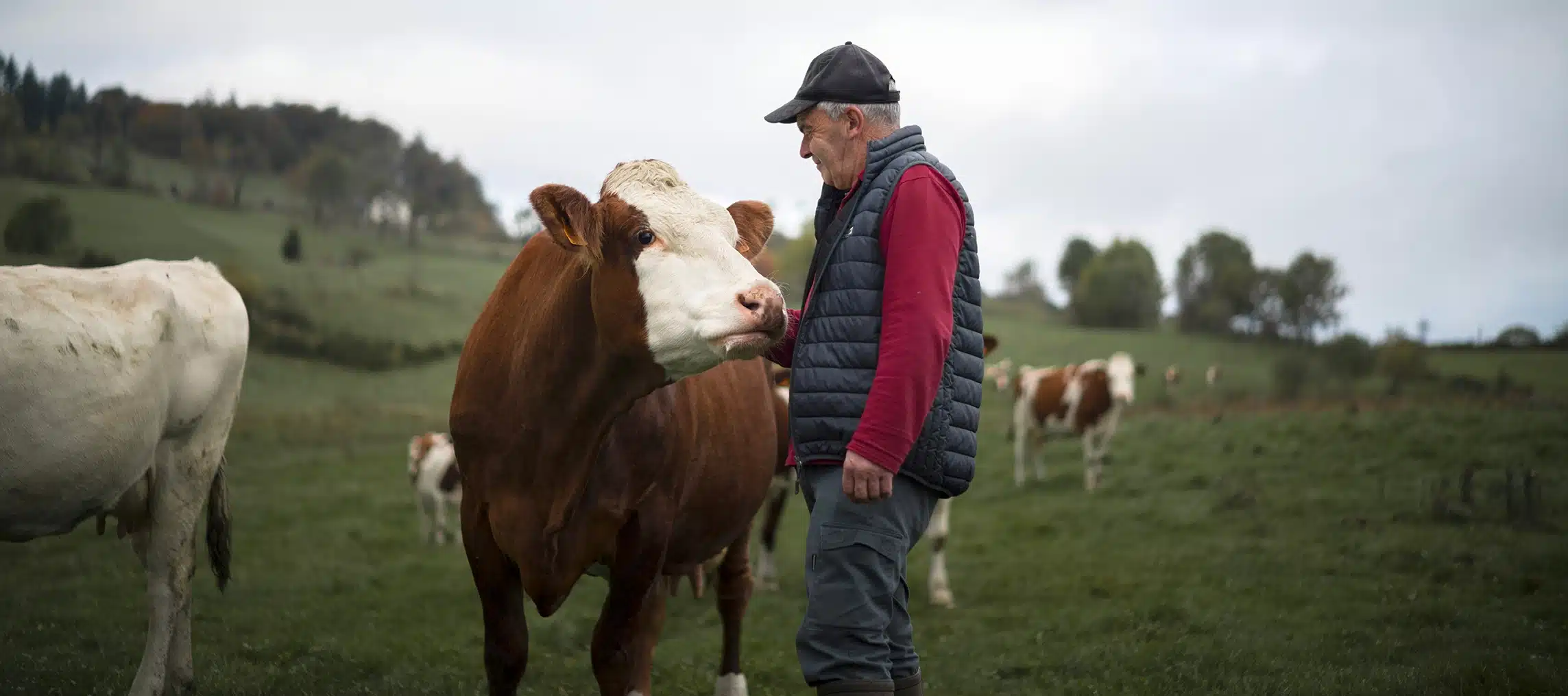 performance industrielle durabilite engagement sodiaal